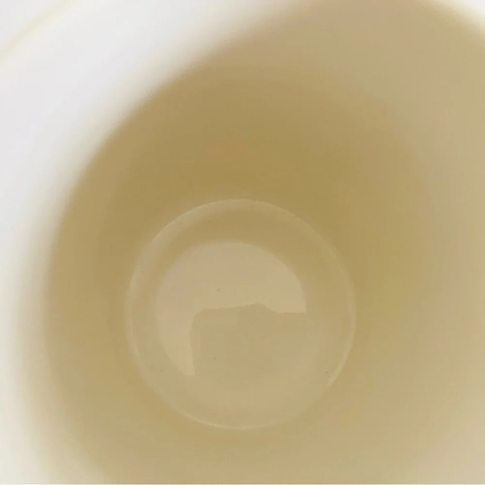 Coco + Lola Mug Premium Collection Ceramic Coffee Tea 